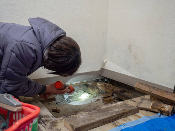 Mold Remediation for Vacation Homes in Port Washington North, NY