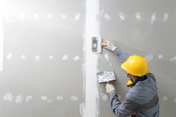 Best Industrial Mold Remediation  in Port Washington North, NY