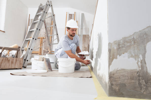 Best Mold Odor Removal Services  in Port Washington North, NY