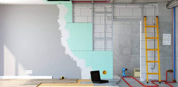 Port Washington North, NY Mold Removal Company