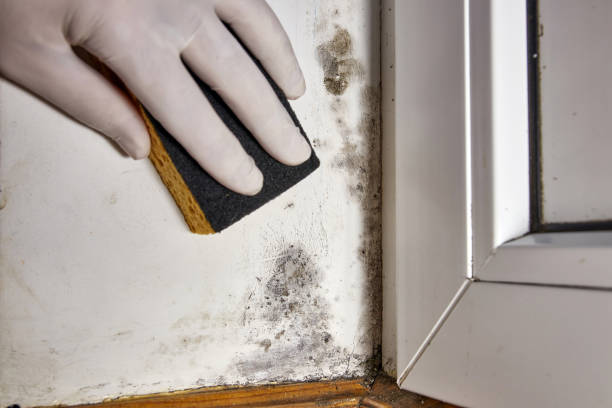 Best Indoor Air Quality Assessment  in Port Washington North, NY